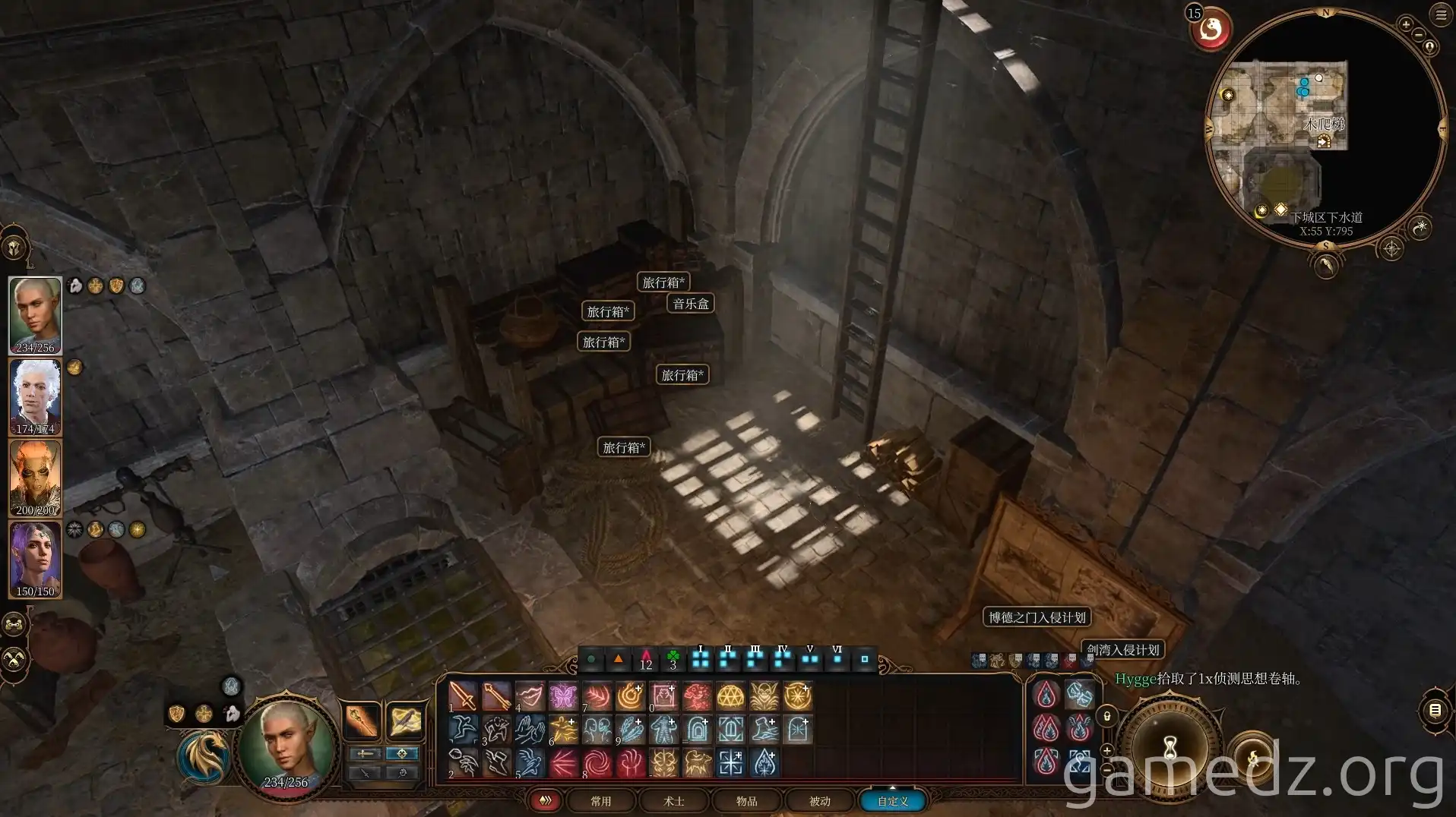 Lord's secret chamber access Ladder leading to a secret chamber