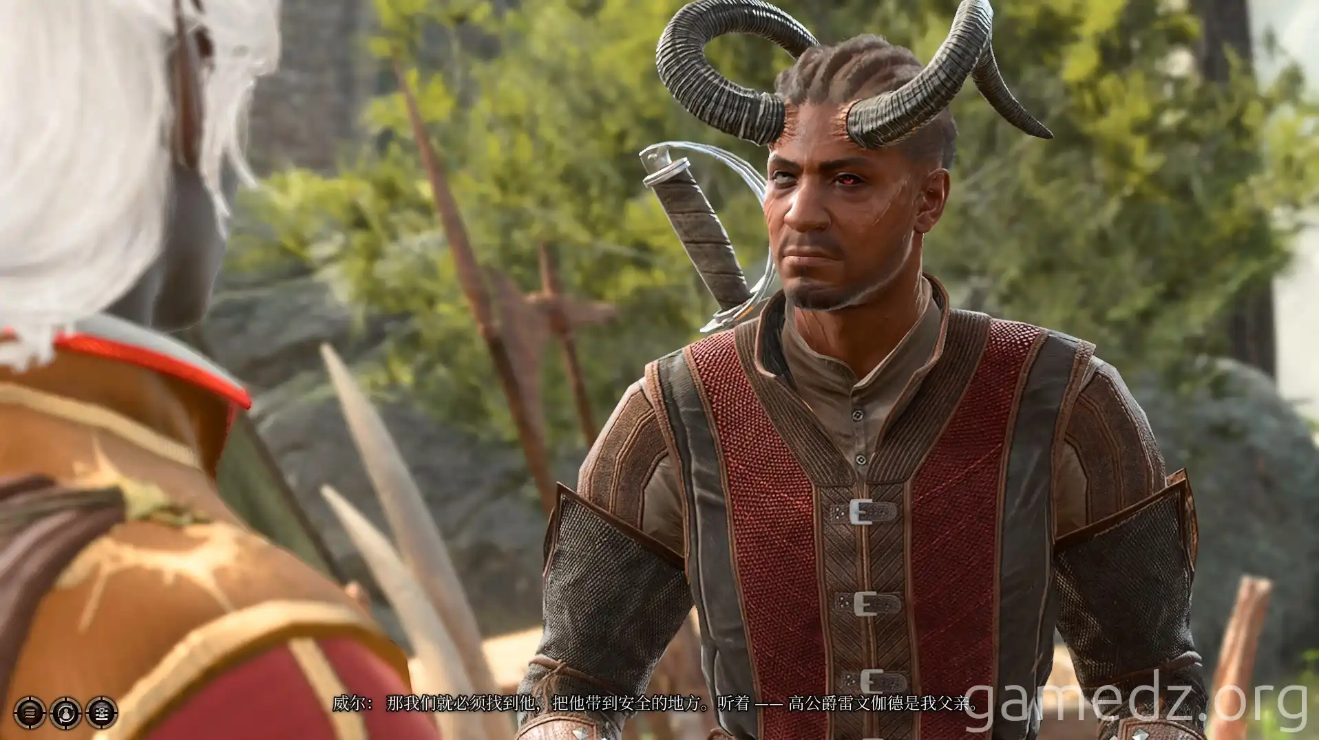 Wyll's Father Wyll and the High Duke connection