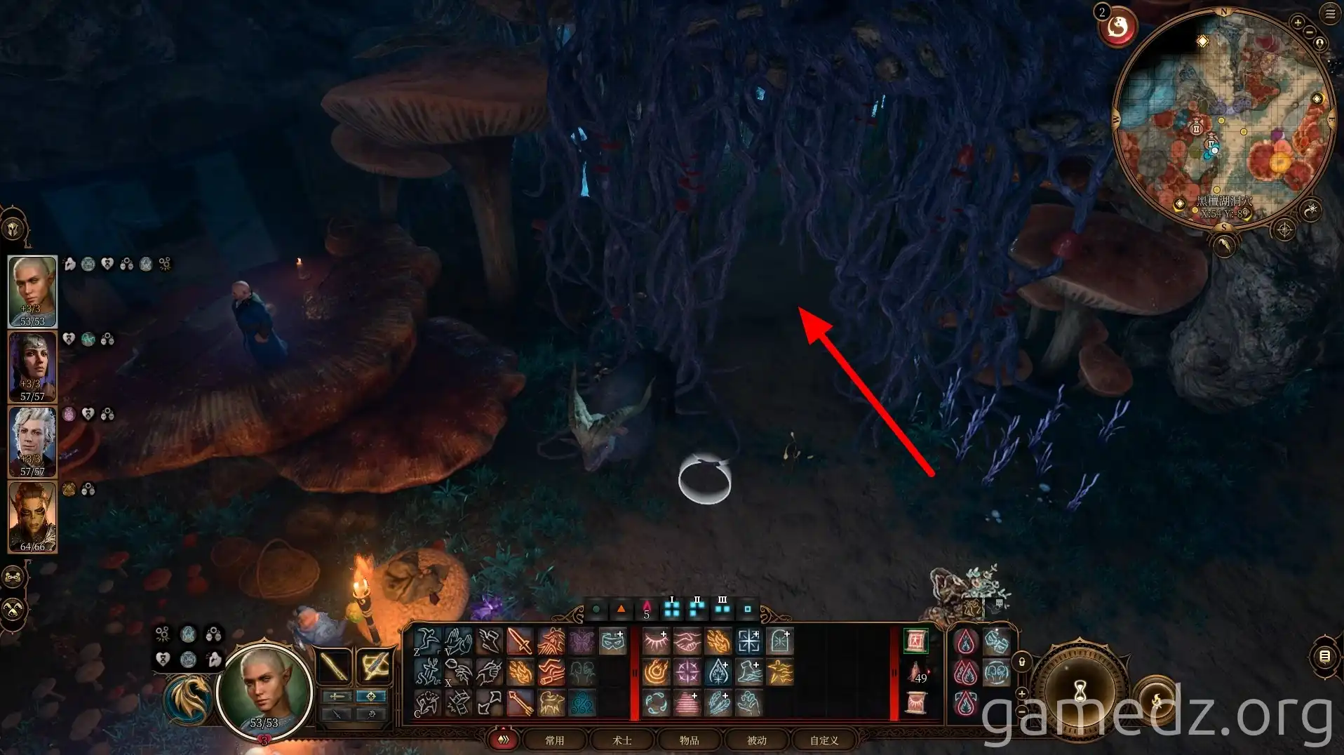 Guard gate next to Drider Guard gate next to Drider