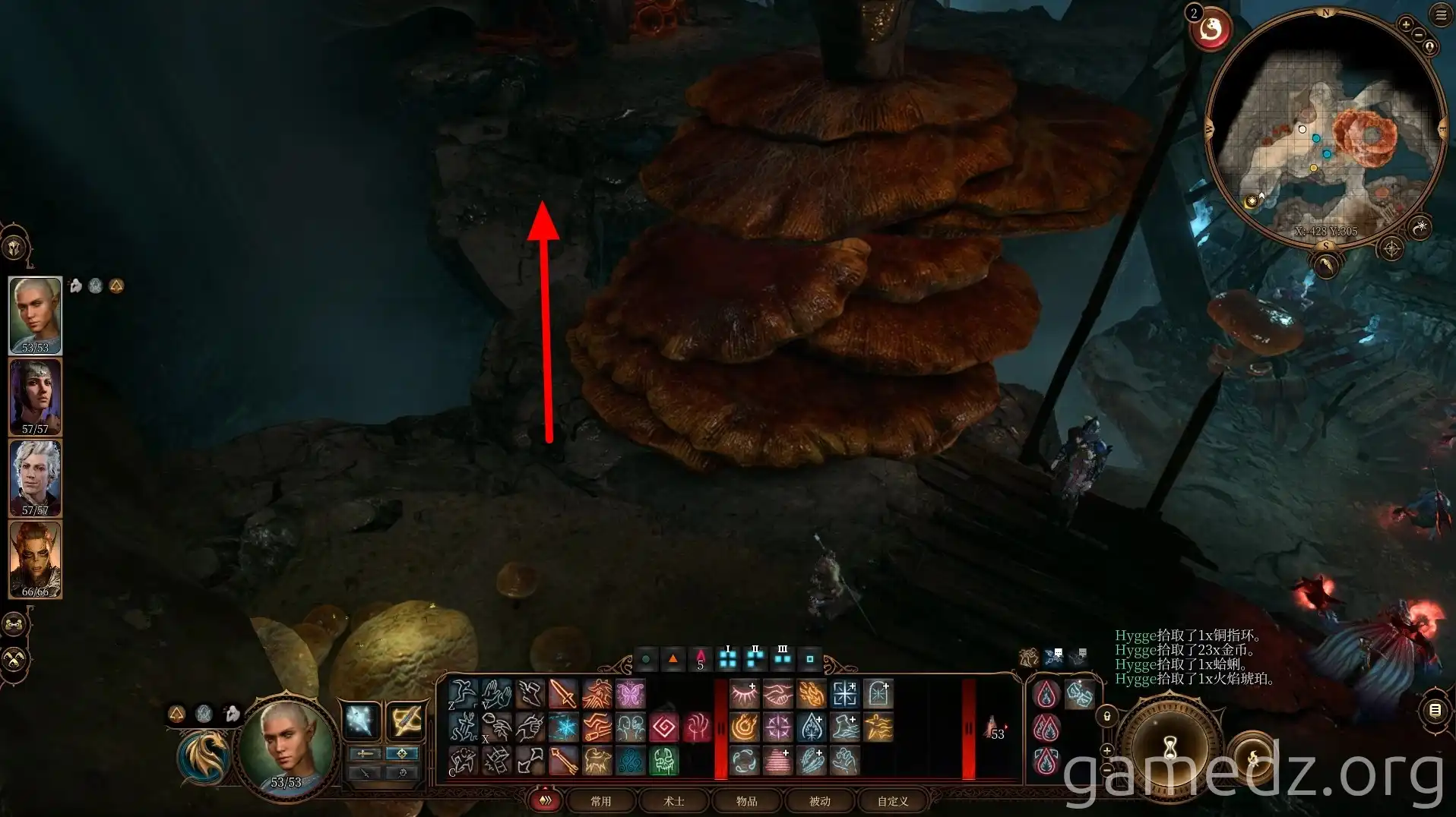 Path next to mushrooms Path next to mushrooms